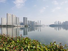 -梅溪湖城市岛