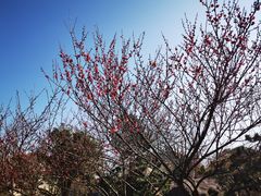 -杭州六谷生态休闲农庄有限公司