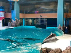 -锦艺城海洋馆