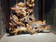 -乐山乌木文化博览苑