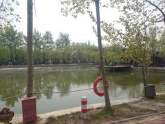-杨柳青庄园
