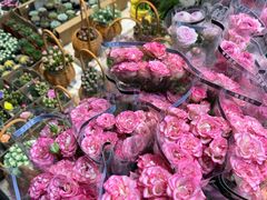 -循礼门鲜花花市(武汉循礼门店)