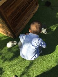 -萌宠亲子动物乐园(槐房万达店)