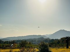 -塔川景区