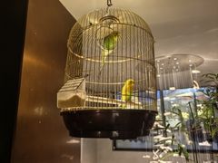 -蘇锦宴·淮扬菜烤鸭·小院(三元桥霄云路店)