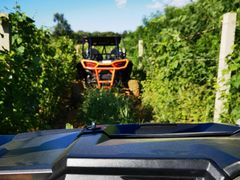 -北京张裕爱斐堡酒庄