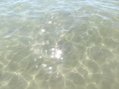 -滴水丹屏