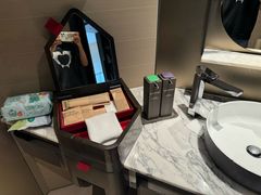 -新加坡瑞士史丹福酒店