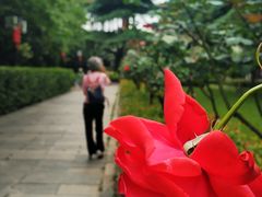 -临江·阅炉