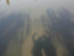 -陕西省体育训练中心-游泳馆