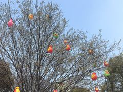 -梁鸿国家湿地公园