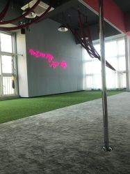 -桃秘钢管舞Peach Pole Fitness