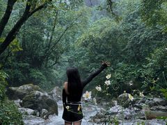 -西岭雪山大飞水景区