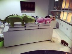-1013 PET SHOP 宠物商店(近铁城市广场店)