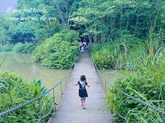 -桤木河湿地公园