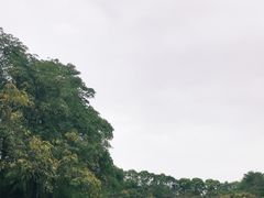 -东莞植物园