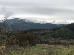 -塔川景区