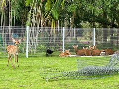 -东南花都花博园