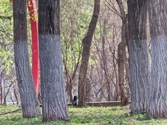 -黛秀湖公园