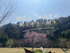 -常德桃花源景区