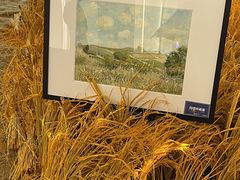 -义乌之心城市生活广场