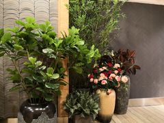 -唐沫茶兮(仓山万达金街店)