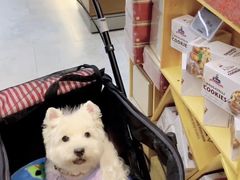 -Olé精品超市(广州太古汇店)