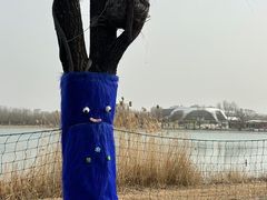 -朝阳公园游乐园