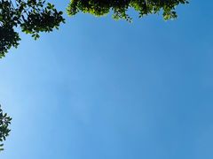 -四川大学(望江校区)