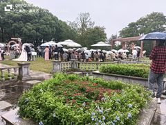 -上海汽车会展中心
