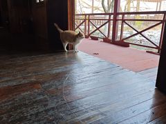 -南京金牛湖风景区