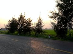 -维乐口腔医院(星海湾分院)