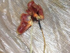 -虾少爷龙虾烧烤(双桥路店)
