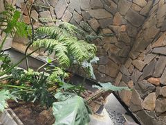-陈熹公民族美食文化餐厅(中华广场店)