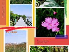 -上海吴淞炮台湾国家湿地公园