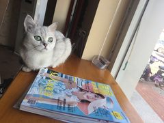 -青春加萌照相馆