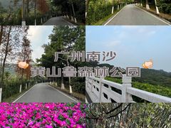 -黄山鲁森林公园