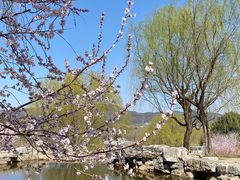 -北京西山国家森林公园