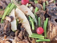 -老板恋上鱼(恒隆广场店)