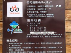 -大湾区中央湿地公园