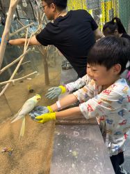 -神奇动物撸宠馆·羊驼·小浣熊·异宠(豫园店)