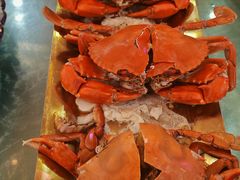 -巽寮印象美食部落餐厅·海鲜·地方特色菜(惠州体验店)