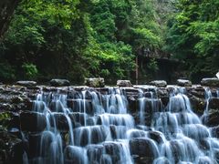 -石台牯牛降景区