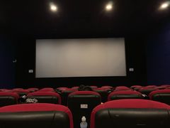 -大地影院(上海南汇店)