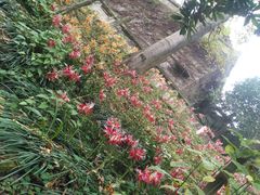 -丰都鬼城名山景区