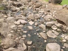 -白塘生态植物园