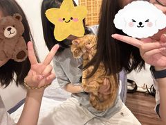 -艾之灸养生馆·推拿·艾灸