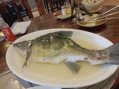 盐油水蒸有机皖鱼（硬边）-顺德一品粥·20年凤城老字号(芳村店)