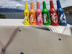 -大理洱海