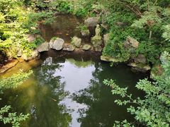 -灵隐飞来峰景区